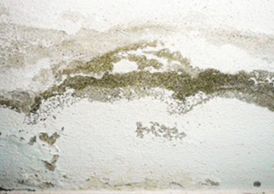 Umidità di risalita o umidità ascendente nel muro